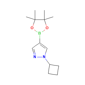 1-Cyclobutyl-4-(4,4,5,5-tetramethyl-1,3,2-dioxaborolan-2-yl)-1H-pyrazole