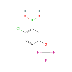 2-Chloro-5-Trifluoromethoxyphenylboronic Acid