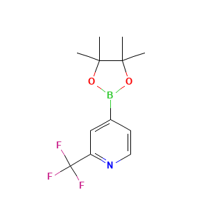 2-(Trifluoromethyl)pyridine-4-boronic acid, pinacol ester