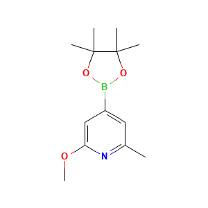 2-Methoxy-6-methyl-4-(4,4,5,5-tetramethyl-1,3,2-dioxaborolan-2-yl)pyridine