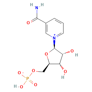 Nicotinamide Mononucleotide
