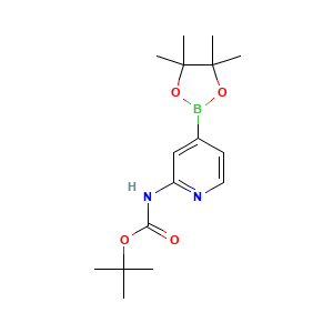 tert-butyl N-(4-(4,4,5,5-tetramethyl-1,3,2-dioxaborolan-2-yl)pyridin-2-yl)carbamate