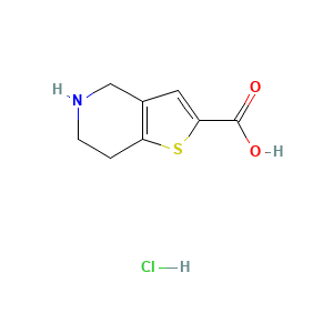 4,5,6,7-Tetrahydrothieno[3,2-c]pyridine-2-carboxylic acid hydrochloride