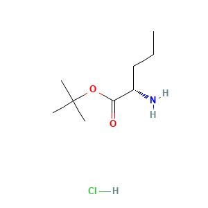tert-butyl (2S)-2-aminopentanoate hydrochloride