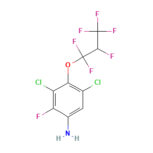 3,5-Dichloro-2-fluoro-4-(1,1,2,3,3,3-hexafluoropropoxy)aniline