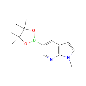 1-Methyl-5-(4,4,5,5-tetramethyl-1,3,2-dioxaborolan-2-yl)-1H-pyrrolo[2,3-b]pyridine