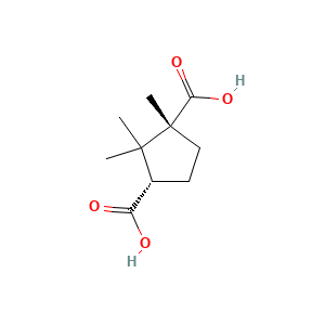 Camphoric Acid