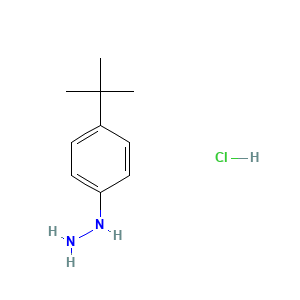 4-Tert-butylphenylhydrazine hydrochloride