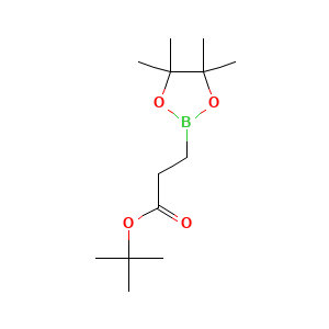 tert-Butyl 3-(4,4,5,5-tetramethyl-1,3,2-dioxaborolan-2-yl)propanoate