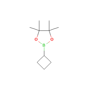 2-Cyclobutyl-4,4,5,5-tetramethyl-1,3,2-dioxaborolane