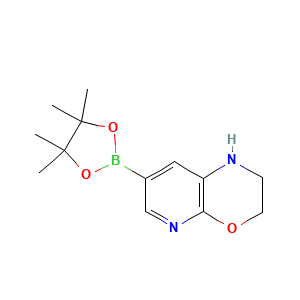 7-(tetramethyl-1,3,2-dioxaborolan-2-yl)-1H,2H,3H-pyrido(2,3-b)(1,4)oxazine