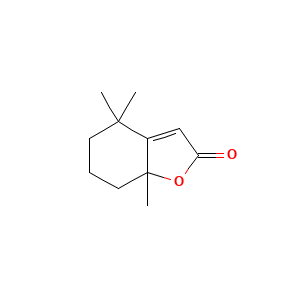 Dihydroactinidiolide, (+-)-