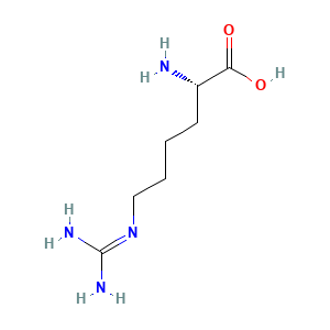 L-Homoarginine