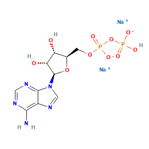 Adenosine 5'-(trihydrogen diphosphate), sodium salt (1:2)