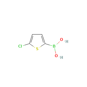 5-Chlorothiophene-2-boronic acid