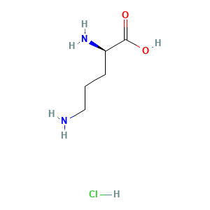 Ornithine Hydrochloride, (D)-