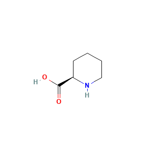 Pipecolic acid, (+)-