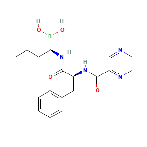 Bortezomib