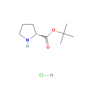 tert-butyl (2R)-pyrrolidine-2-carboxylate hydrochloride