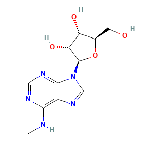 N6-Methyladenosine