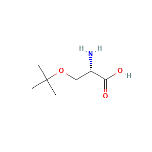 (2S)-2-amino-3-(tert-butoxy)propanoic acid