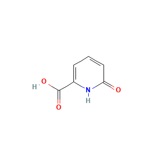 6-Hydroxypicolinic acid