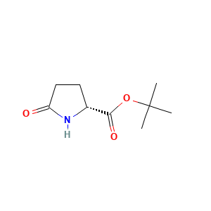 tert-butyl (2R)-5-oxopyrrolidine-2-carboxylate