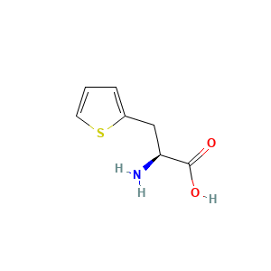 beta-2-Thienyl-L-alanine