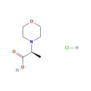(2S)-2-(morpholin-4-yl)propanoic acid hydrochloride