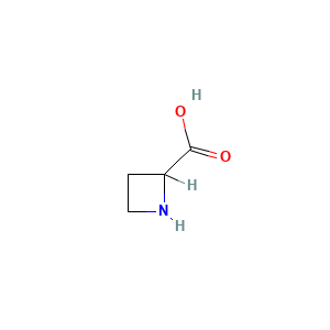 Azetidinecarboxylic Acid