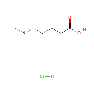 5-(Dimethylamino)pentanoic acid hydrochloride