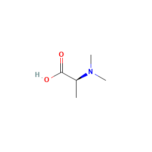 N,N-Dimethylalanine