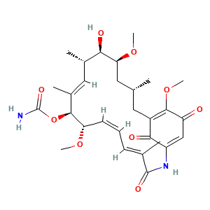 Geldanamycin