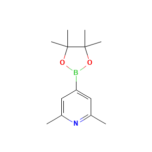2,6-Dimethyl-4-(4,4,5,5-tetramethyl-1,3,2-dioxaborolan-2-yl)pyridine