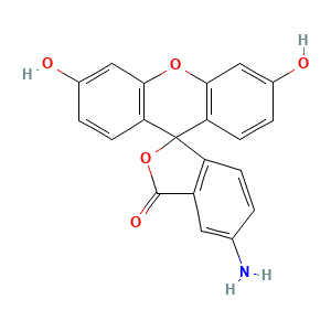 5-Aminofluorescein