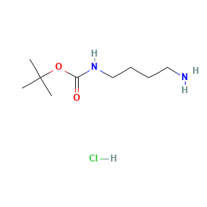 Carbamic acid, N-(4-aminobutyl)-, 1,1-dimethylethyl ester, hydrochloride (1:1)