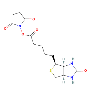 Biotin N-hydroxysuccinimide ester