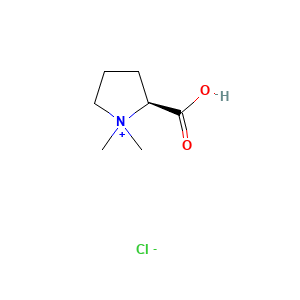 Stachydrine chloride