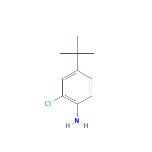 2-Chloro-4-(1,1-dimethylethyl)benzenamine
