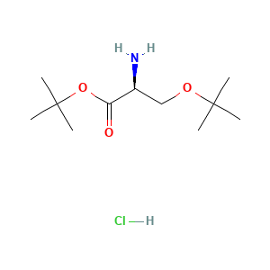 H-Ser(tBu)-OtBu HCl