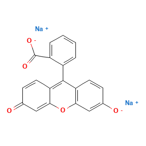 Sodium Fluorescein