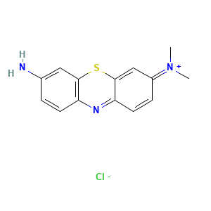 Giemsa Stain