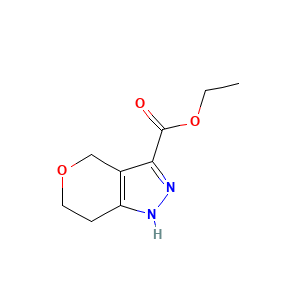 ethyl 1H,4H,6H,7H-pyrano[4,3-c]pyrazole-3-carboxylate