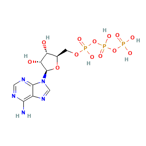 5'-Atp