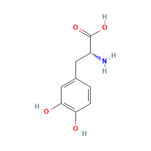 dopa d-form