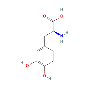 Levodopa