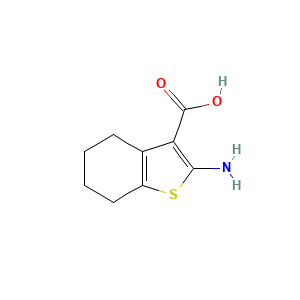 2-Amino-4,5,6,7-tetrahydro-1-benzothiophene-3-carboxylic acid