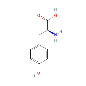 L-Tyrosine