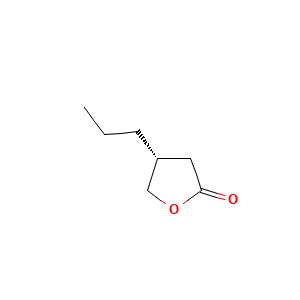 (R)-4-Propyldihydrofuran-2(3H)-one