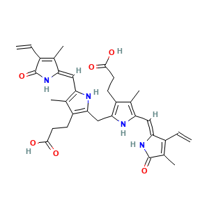 Bilirubin